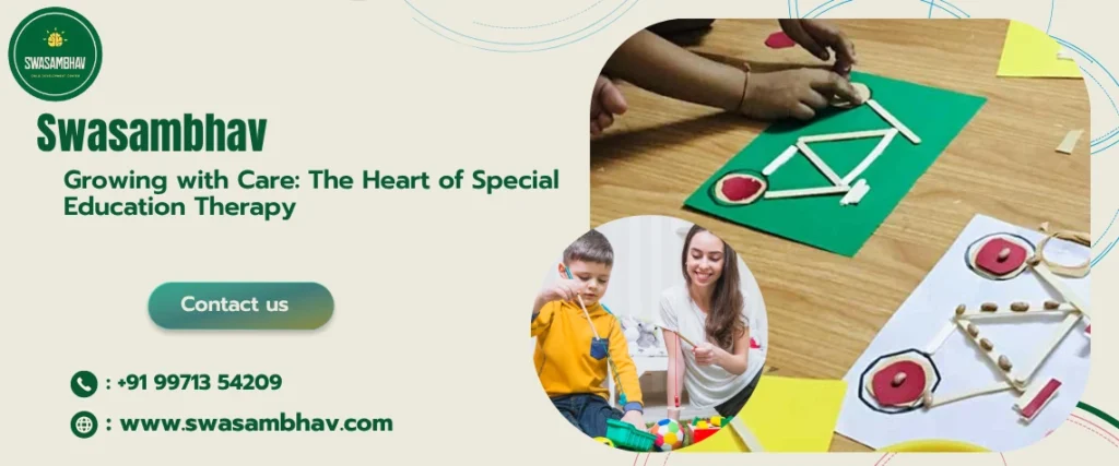 Special Education Needs